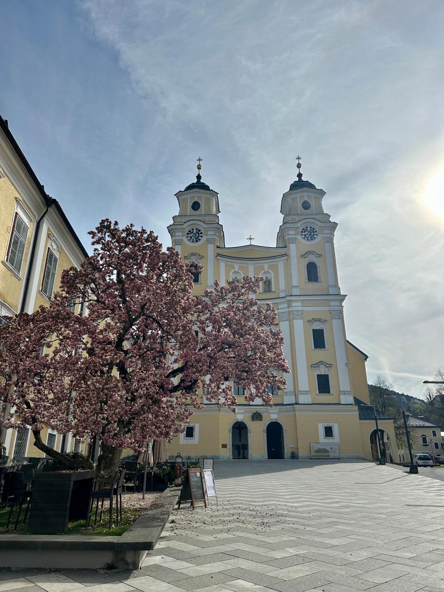 17Er Apartment Mit Sauna Und Privater Garage Mondsee Ngoại thất bức ảnh